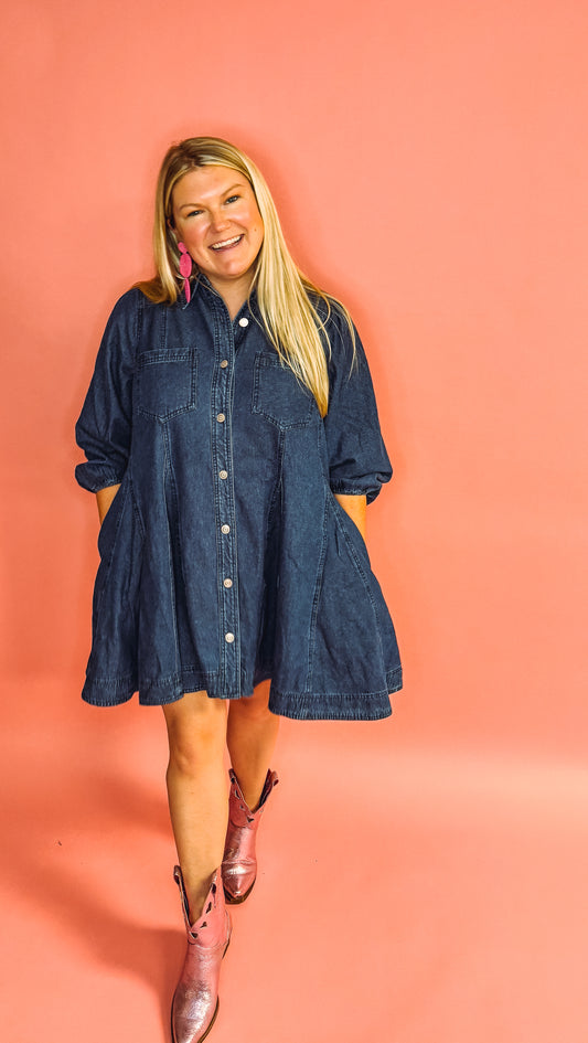 Denim Long Sleeve Button Up Dress